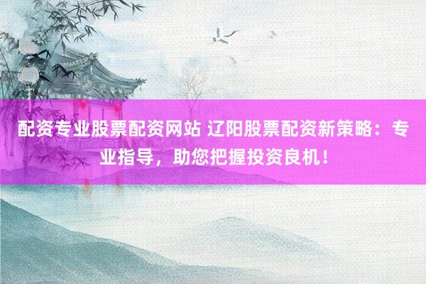 配资专业股票配资网站 辽阳股票配资新策略：专业指导，助您把握投资良机！