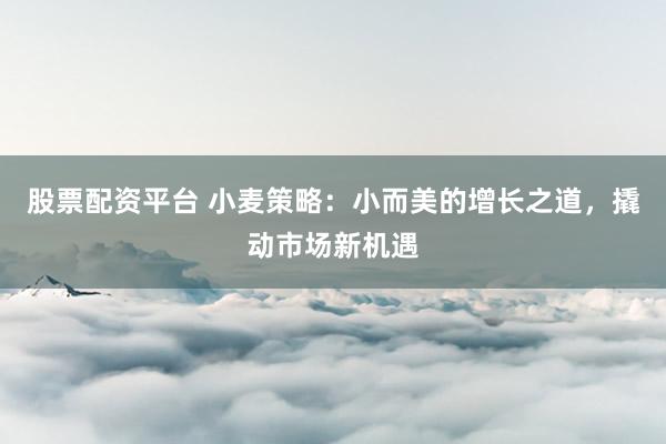 股票配资平台 小麦策略：小而美的增长之道，撬动市场新机遇