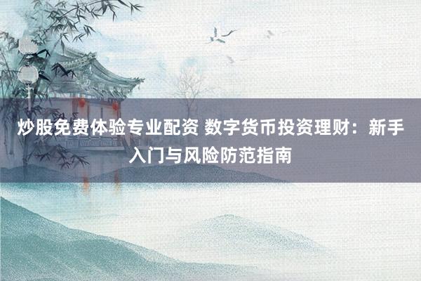 炒股免费体验专业配资 数字货币投资理财：新手入门与风险防范指南