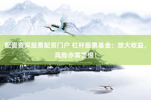 配资资深股票配资门户 杠杆股票基金：放大收益，风险亦需警惕！