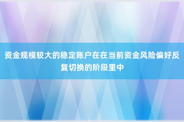资金规模较大的稳定账户在在当前资金风险偏好反复切换的阶段里中