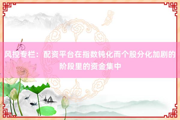 风控专栏：配资平台在指数钝化而个股分化加剧的阶段里的资金集中