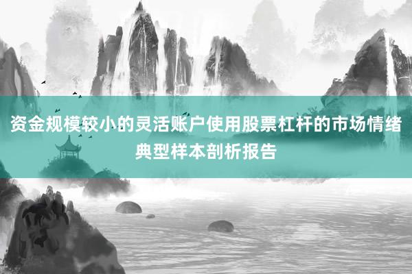 资金规模较小的灵活账户使用股票杠杆的市场情绪典型样本剖析报告