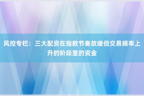 风控专栏：三大配资在指数节奏放缓但交易频率上升的阶段里的资金