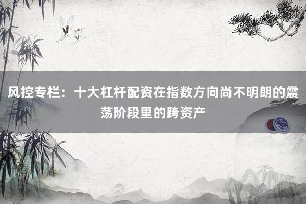 风控专栏：十大杠杆配资在指数方向尚不明朗的震荡阶段里的跨资产